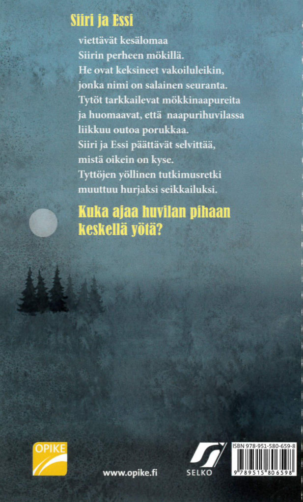 Kesäyön salaisuus - Image 2